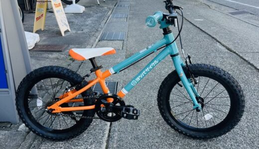 ヨツバサイクル新カラー　ラムネブルー２　組み上げ完了、ご注文ありがとうございました！