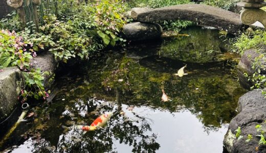 お店からのご案内：9月30日は展示会のため休業いたします