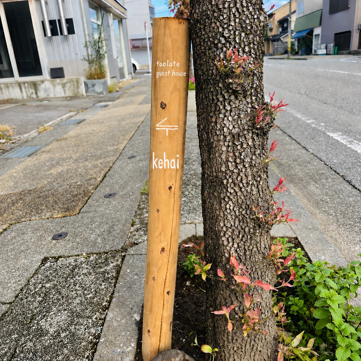花水木の木のそばに立つ、toolate guest houseとkehaiの木の看板